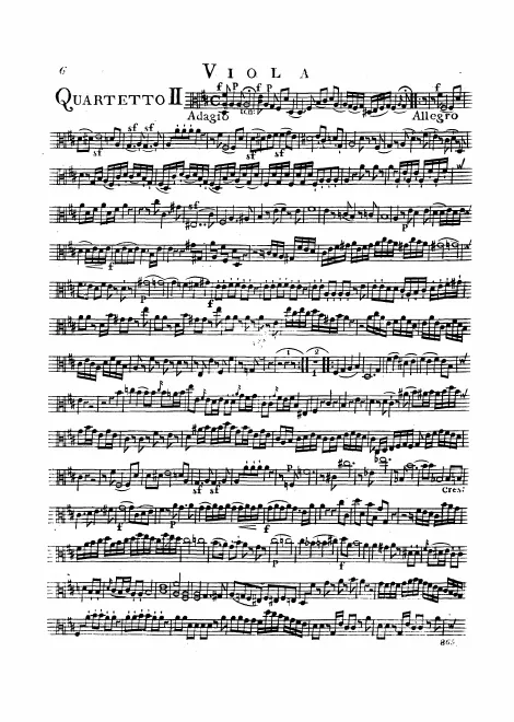 Viola