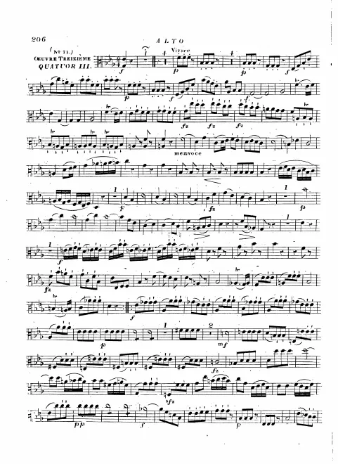 Viola