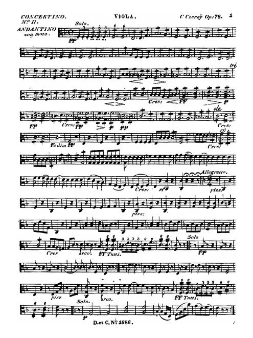 Viola