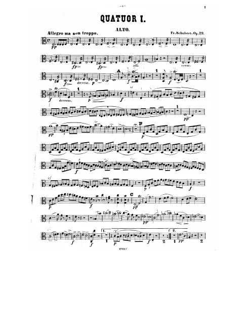 Viola