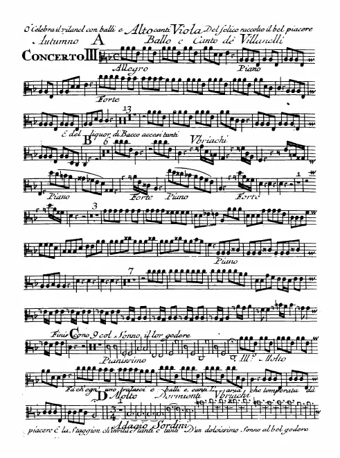 Violas