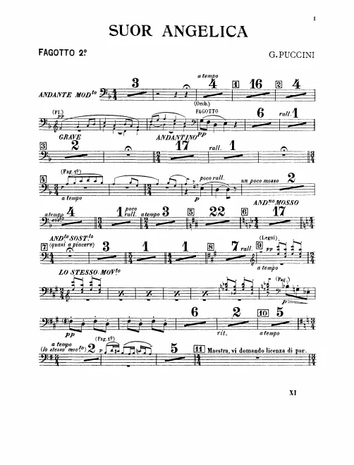 Bassoon 2