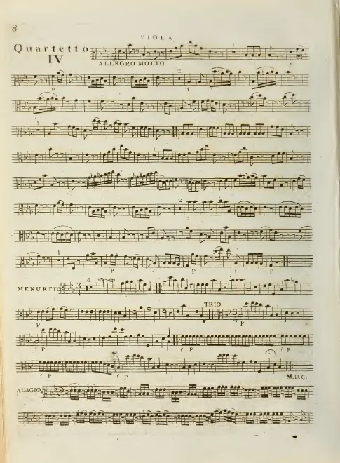 Viola