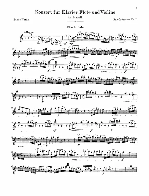 Flute solo