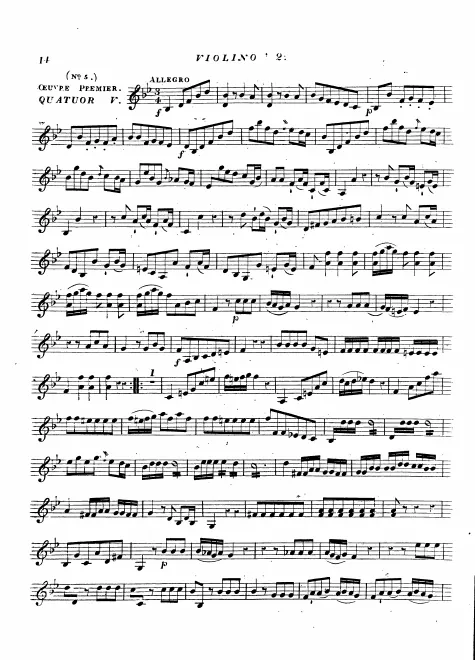 Violin 2
