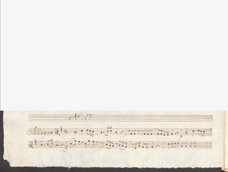 Viola