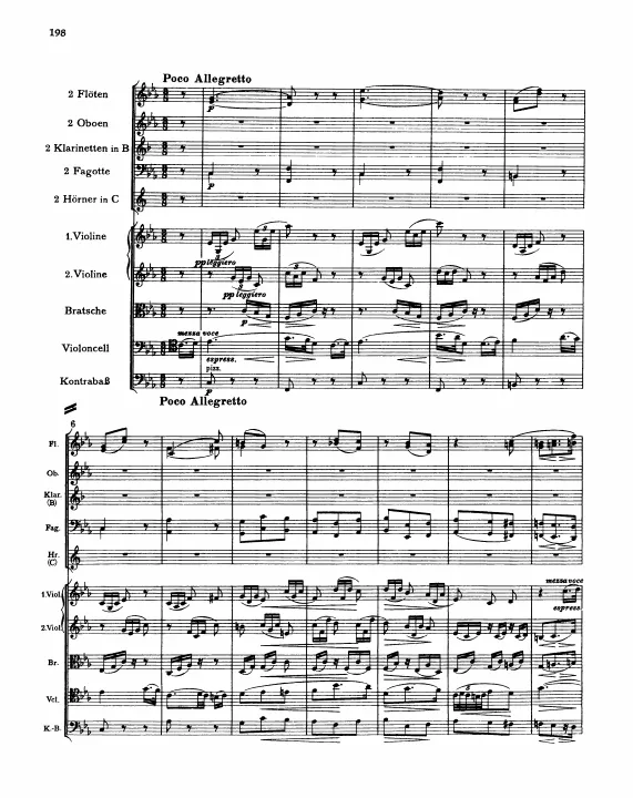 3. Poco Allegretto