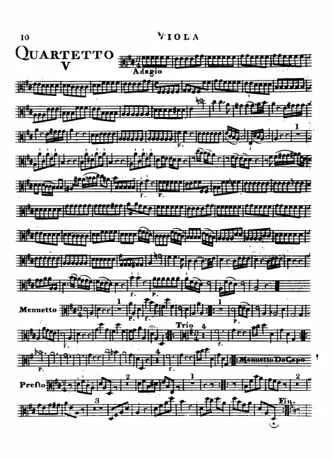 Viola