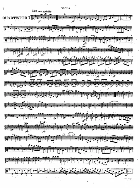 Viola