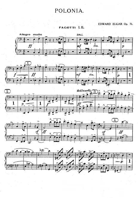 Bassoon 1/2, Contrabassoon