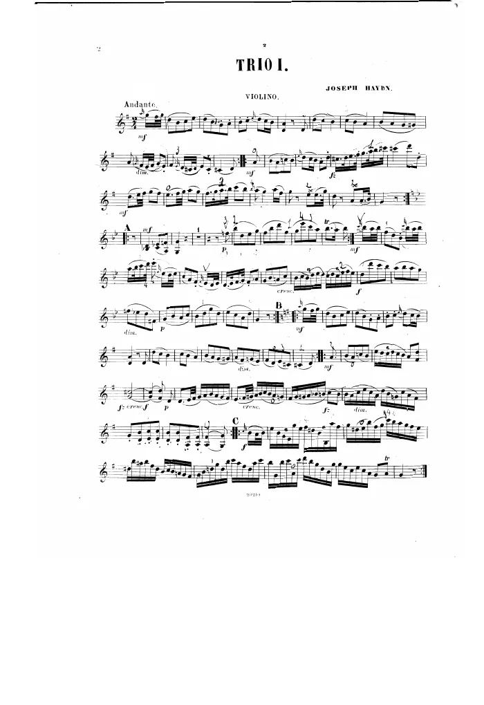 Violin