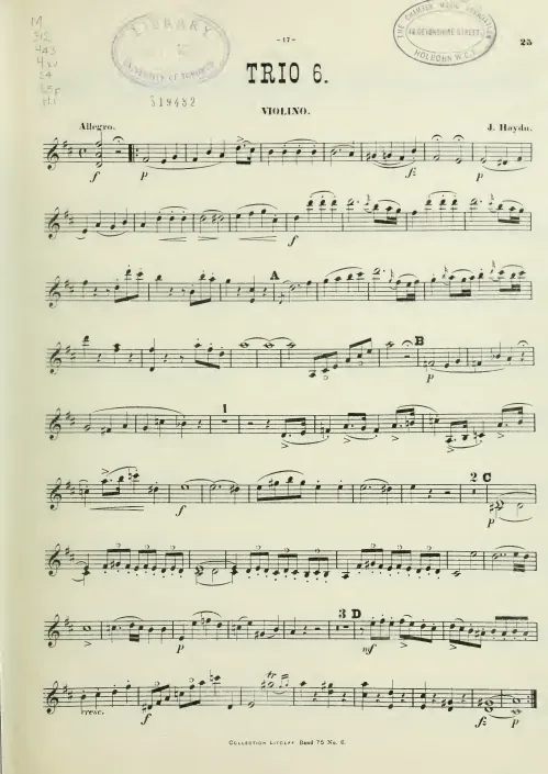 Violin