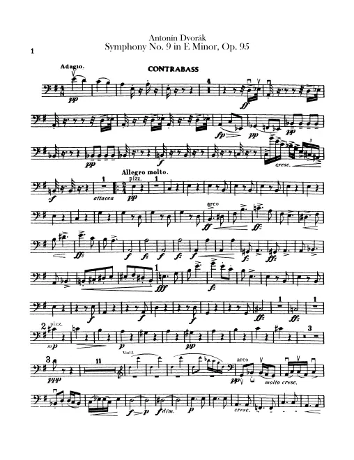 Basses