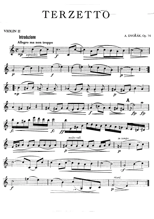 Violin 2