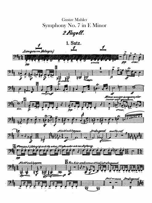 Bassoon 2