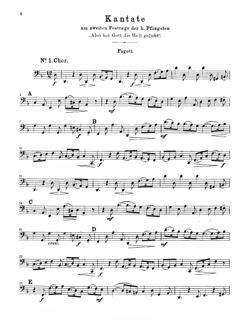 Bassoon