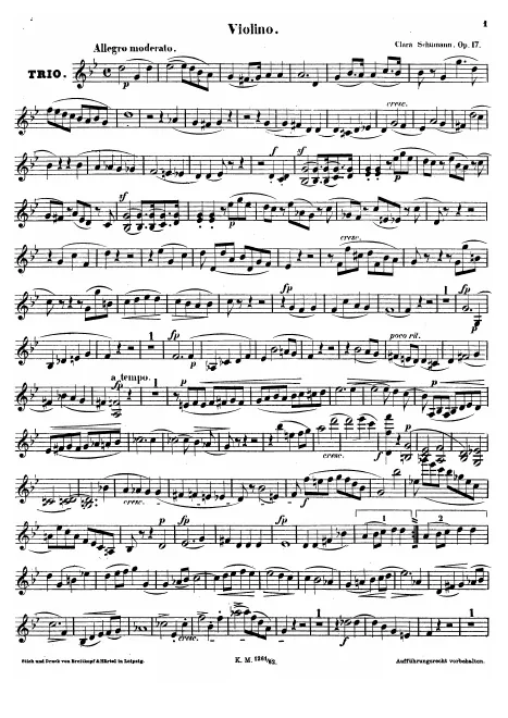 Violin