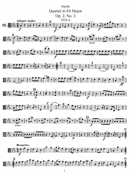 Viola