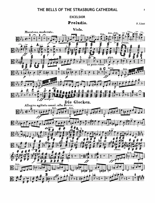 Violas