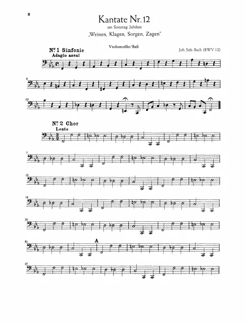 Cellos/Basses