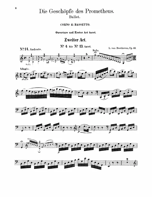 Basset Horn (F)
