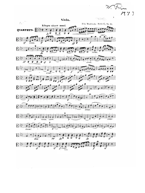 Viola