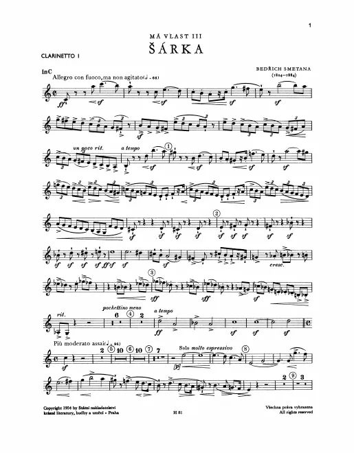 Clarinet 1 (C)