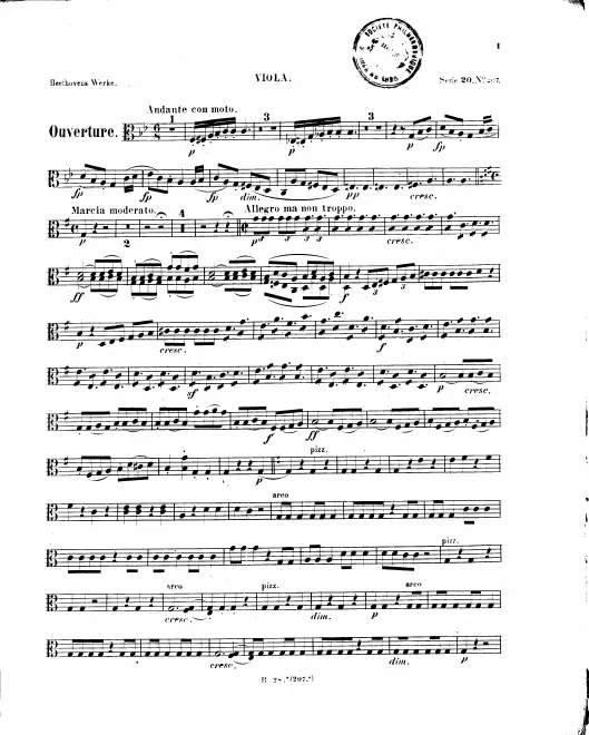 Violas