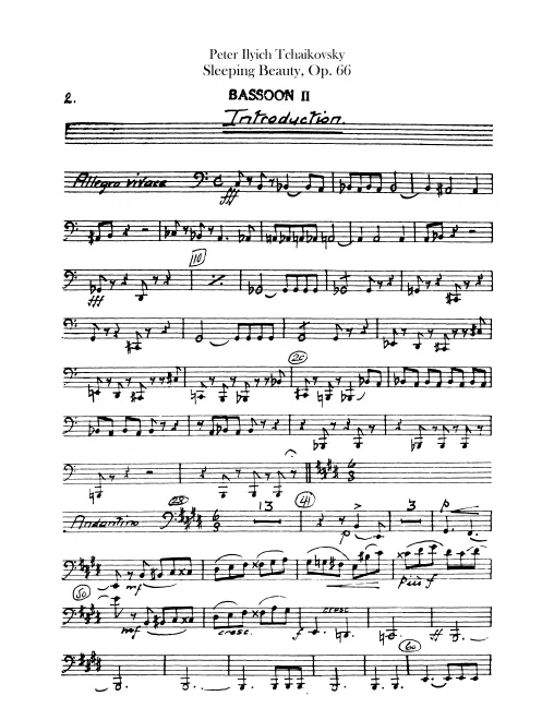 Bassoon 2