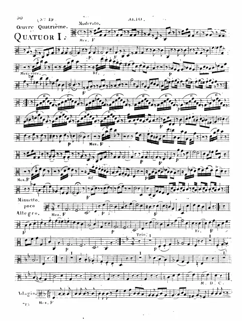 Viola
