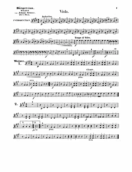 Violas