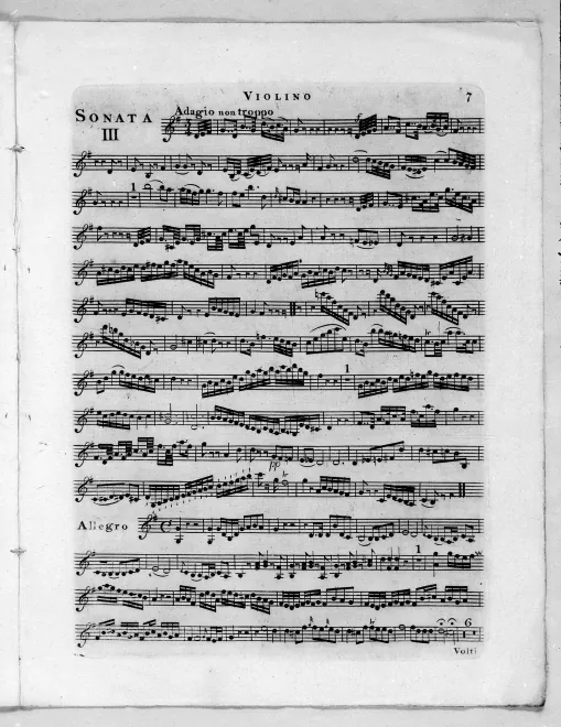 Violin