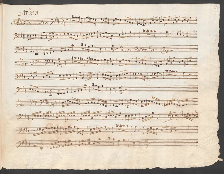 Cello