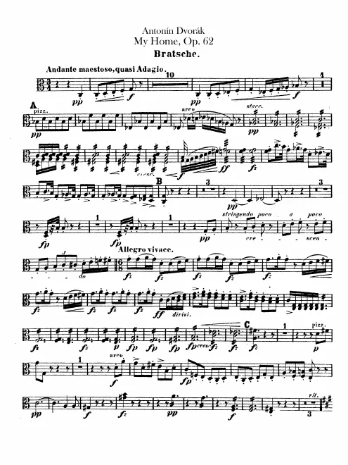 Violas