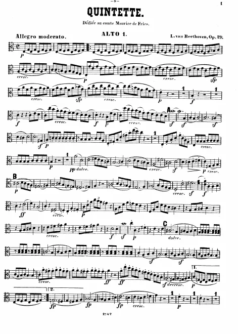 Viola 1