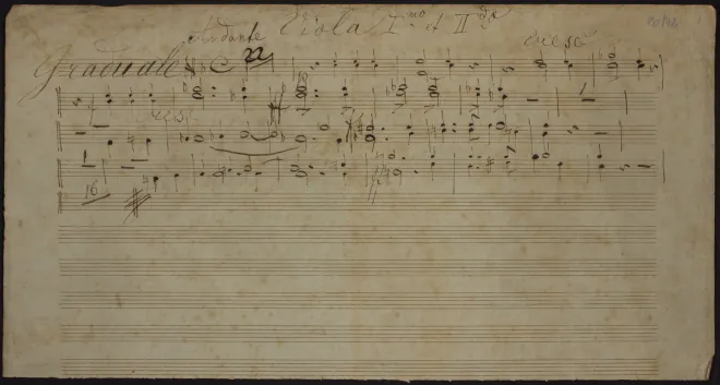 Violas, Cellos, Bass