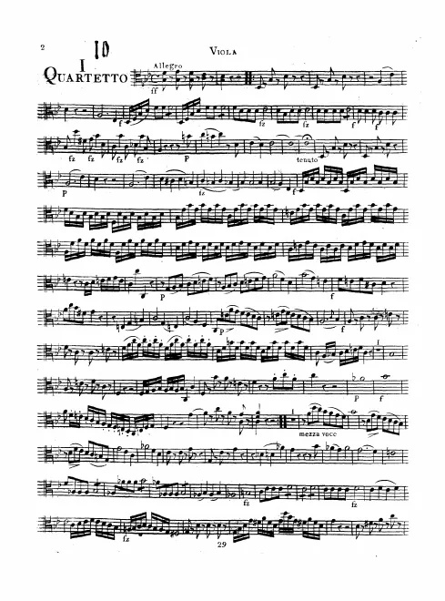 Viola