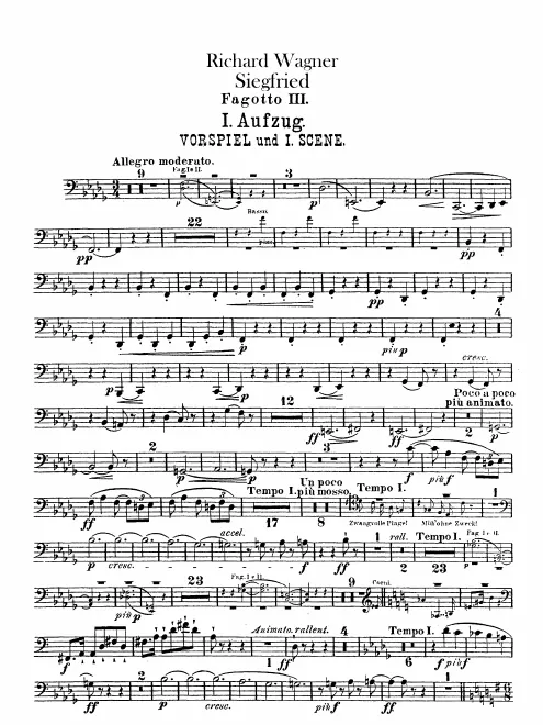 Bassoon 3
