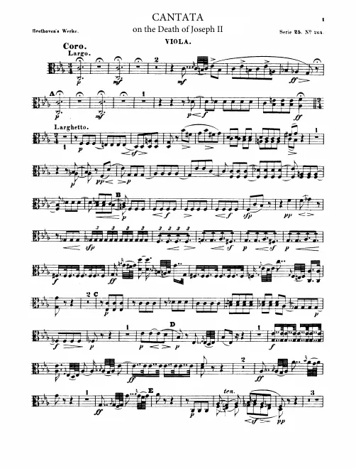 Violas