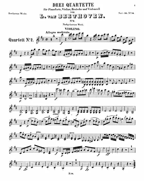 Violin
