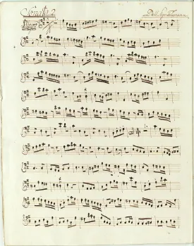 Flute 2