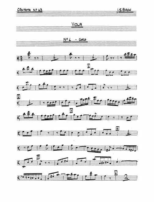 Violas
