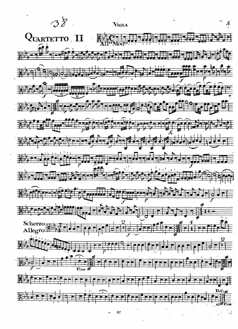 Viola