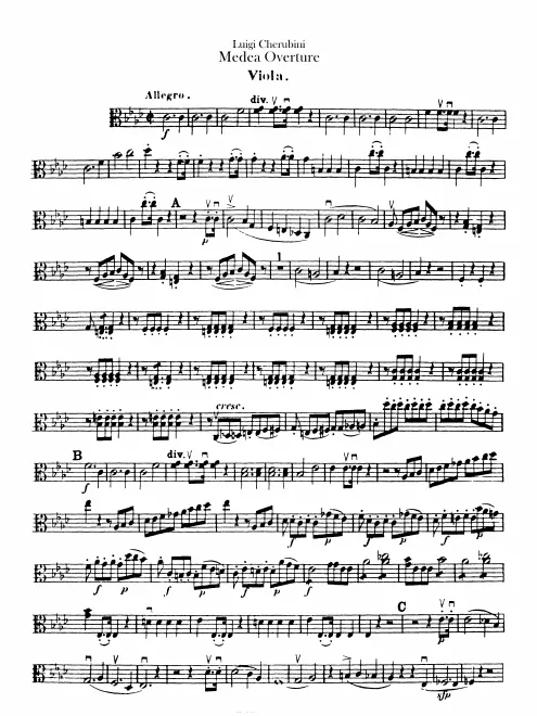 Violas