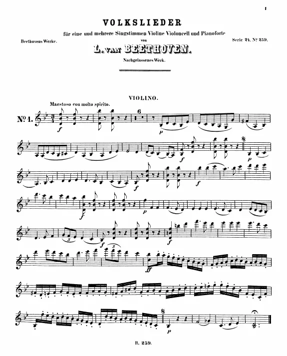 Violin