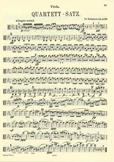 Viola