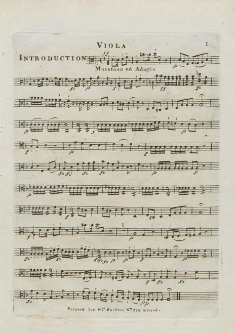 Violas