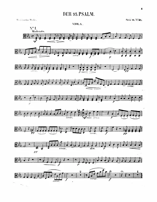 Violas