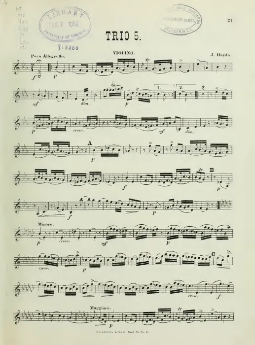 Violin