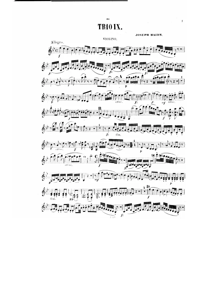 Violin